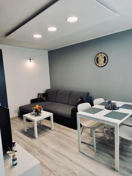 Apartament Poniatowskiego Z Parkingiem 글리비체 외부 사진